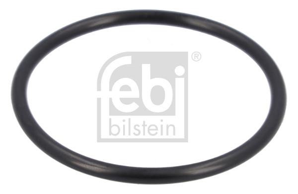 Garnitura termostat potrivita MAN E2000, EL, EM, F2000, F8, F90, F90 UNTERFLUR, FOC, G, G90, HOCL, L2000, LION'S CITY, LION'S CLASSIC, LION'S COACH, LION'S REGIO 376.923-OM942.911 dupa 1970 (60mmx4mm) [2]