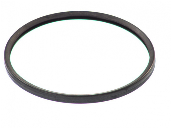 Garnitura termostat (99mmx108mmx1,5mm) potrivit VOLVO 9700, 9900, FH, FH II, FM II D13A400-D13K420 09.05- [1]