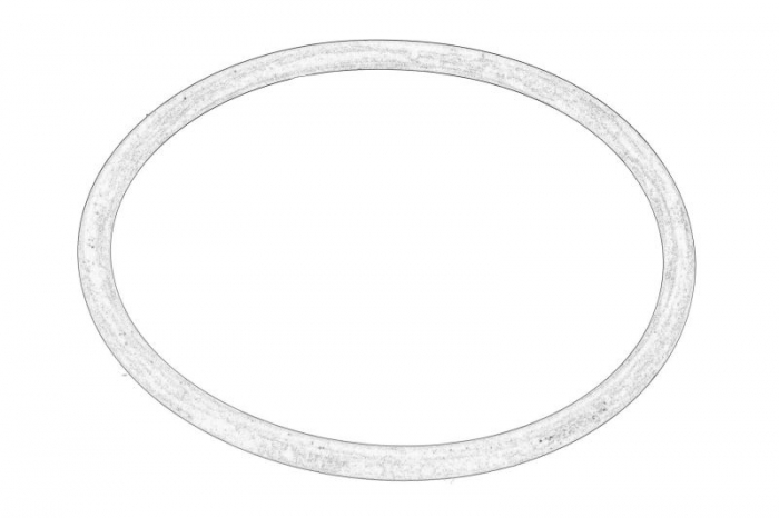 Garnitura termostat (o-ring) potrivit CHRYSLER 300C; JEEP GLADIATOR, GRAND CHEROKEE, GRAND CHEROKEE IV; LANCIA THEMA 3.0D 01.11-