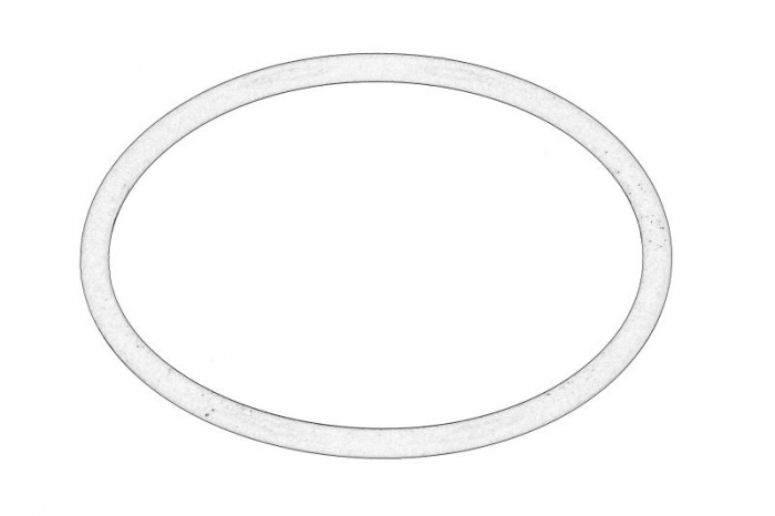 Garnitura termostat (o-ring) potrivit DAF [1]