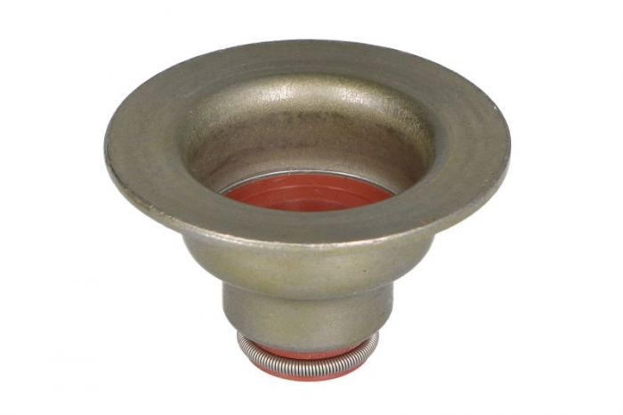 Garnituri supape (5,3/5,3x8,5x17,5) potrivit FIAT ULYSSE; LANCIA ZETA; PEUGEOT 306, 406, 605 1.8/2.0 07.94-10.04 [2]