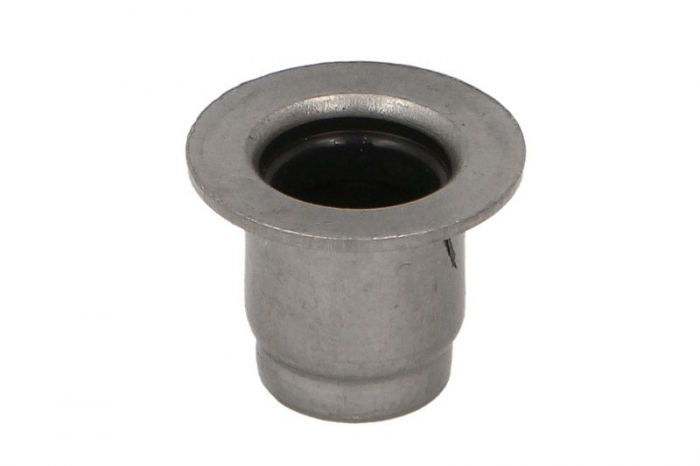 Garnituri supape (5/5x9,8x16) potrivit JAGUAR E-PACE, F-PACE, XE, XF II, XF SPORTBRAKE; LAND ROVER DEFENDER, DISCOVERY SPORT, DISCOVERY V, RANGE ROVER EVOQUE, RANGE ROVER IV 2.0D-3.0DH 12.14- [2]