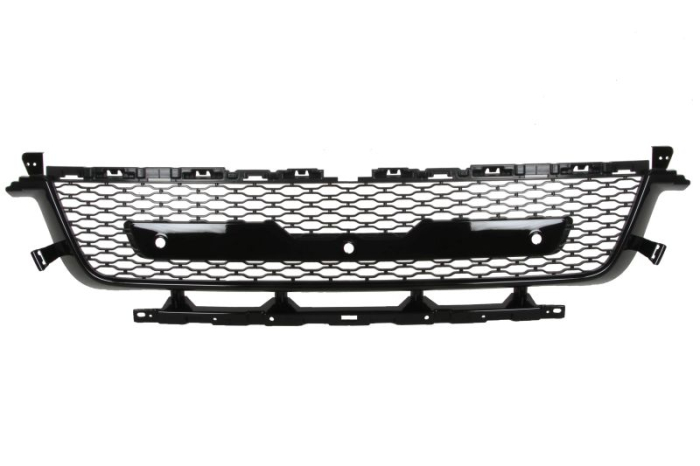 Grila bara Fata Mijloc, cu gaura camerei, negru potrivit LAND ROVER RANGE ROVER SPORT II 04.13-03.22