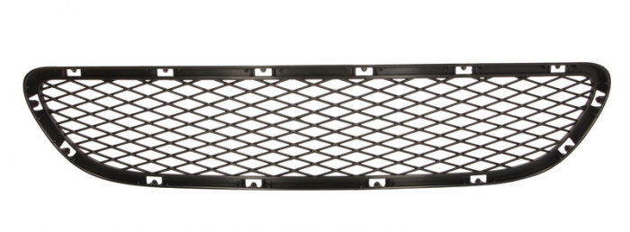 Grila bara fata mijloc, negru BMW Seria 3 E90, 3 E91 intre 2008-2012 [2]