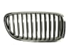 Grila radiator BMW Seria 5 (F10, F18) dupa 2009 [2]