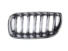 Grila radiator fata stanga crom BMW X3 intre 2004-2011 [2]
