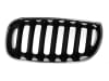 Grila radiator fata stanga negru/crom BMW X3 intre 2004-2007 [2]