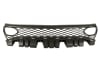 Grila radiator HELLCAT/SRT, negru potrivit Dodge Charger dupa 2014 [2]