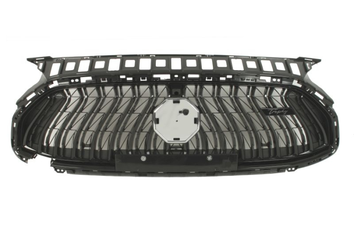 Grila radiator potrivit MG HS I AS23 09.20-