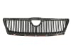Grila radiator fata interior SKODA OCTAVIA intre 2004-2008 [2]
