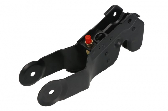 Incuietoare usa cabina sofer (fara senzor) potrivit MAN TGA, TGL I, TGM I, TGS I, TGX I 04.00- [2]