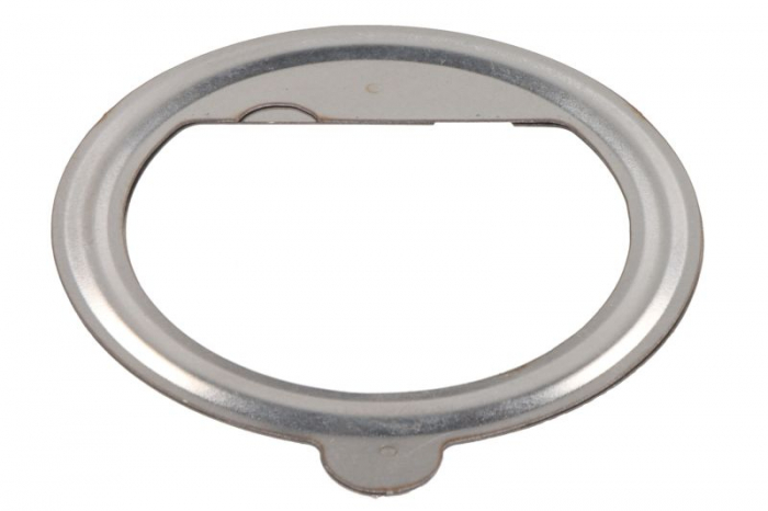 Inel etansare galerie evacuare potrivit BMW F, K 650-1200 2000-2018 [1]