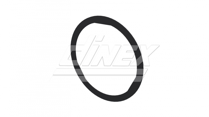 Inel etansare galerie evacuare potrivit DAF XF EURO 6 [2]
