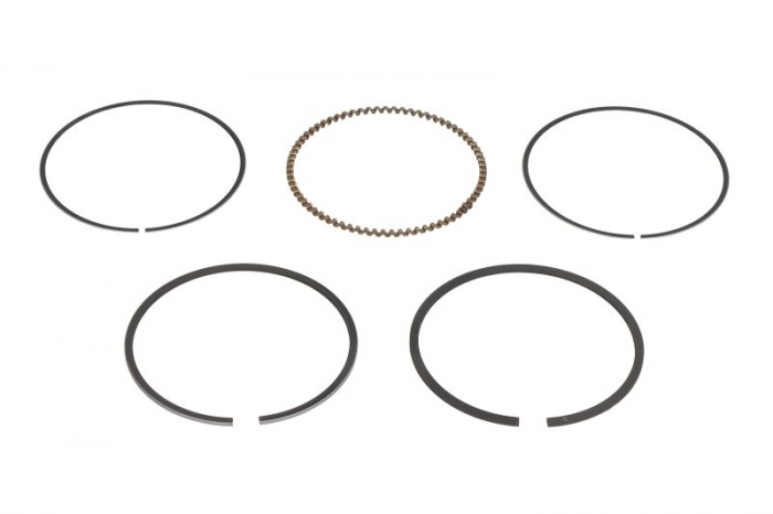 Inele cu pistoane F5A; F6A potrivit PARSUN [1]