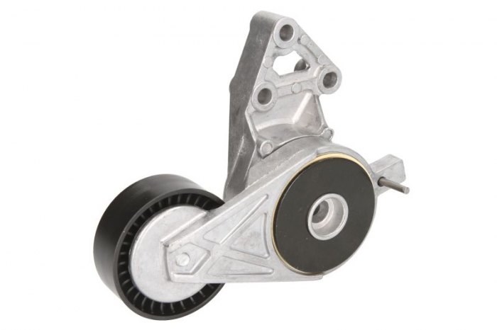 Intinzator curea transmisie potrivit AUDI A3, TT; SEAT ALHAMBRA, ALTEA, ALTEA XL, AROSA, CORDOBA, IBIZA II, IBIZA III, IBIZA IV, IBIZA IV SC, LEON, TOLEDO II, TOLEDO III; SKODA FABIA I 1.4D-2.0LPG 09. [2]