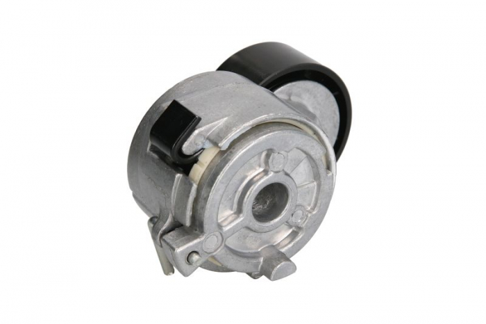 Intinzator curea transmisie potrivit CITROEN BERLINGO, BERLINGO MULTISPACE, BERLINGO/MINIVAN, C4 I, C5 III, JUMPY II, NEMO, NEMO/MINIVAN, XSARA PICASSO; FIAT SCUDO; PEUGEOT 206, 206+, 407 1.4D/1.6D 09 [2]