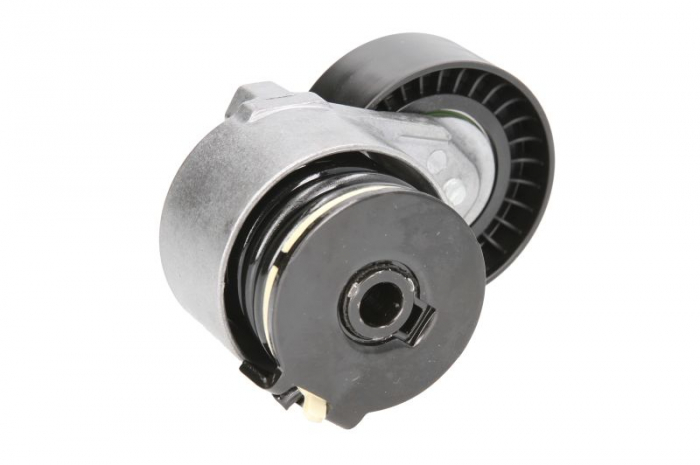 Intinzator curea transmisie potrivit MAZDA CX-5; NISSAN ALMERA II, KUBISTAR, MICRA III, PULSAR, TERRANO, TIIDA; RENAULT CAPTUR I, CLIO II, CLIO II/HATCHBACK, CLIO III, CLIO IV/HATCHBACK 0.9-2.8D 03.97 [2]