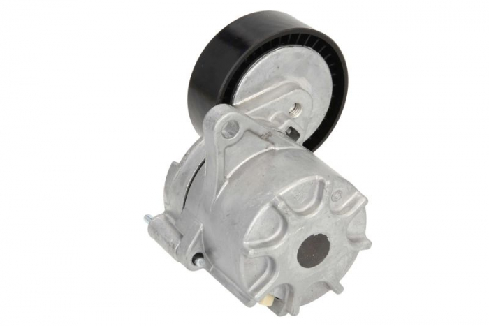 Intinzator curea transmisie potrivit MERCEDES C (CL203), C T-MODEL (S202), C T-MODEL (S203), C (W202), C (W203), CLC (CL203), CLK (C209), E T-MODEL (S210), E T-MODEL (S211), E (W210) 2.1D-3.2D 03.93- [2]