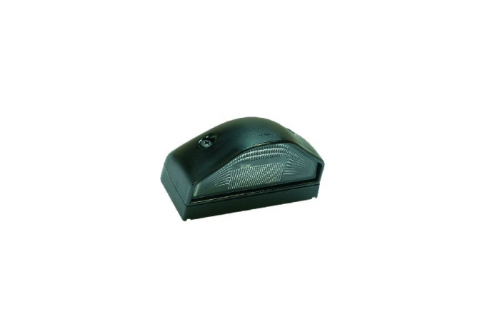 Lampa numar inmatriculare (R10W, 12 24V, 58,2x53,3x101mm) potrivit RVI potrivit RVI MASCOTT 01.99-06.04