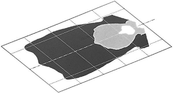 Lumina lucru (H3/Halogen, 12/24V, 35/70W, 1000lm, lungime: 182mm, inaltime: 102mm, latime: 182mm, adancime: 103mm, fara becuri; negru, in relief) potrivit FENDT 200, 300, 900 01.80- [3]