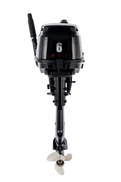 Motor exterior F6, control manual, tija de control, pornire: manual, tip coloana: lunga [2]