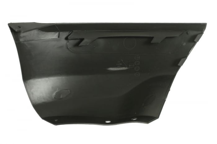 Ornament bandou bara fata stanga inferior potrivit FORD ECOSPORT 10.17- [2]