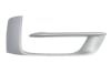 Ornament grila fata dreapta inferior, PURE EXPERIENCE, plastic, argintiu BMW X5 F15, F85 intre 2013-2017 [3]