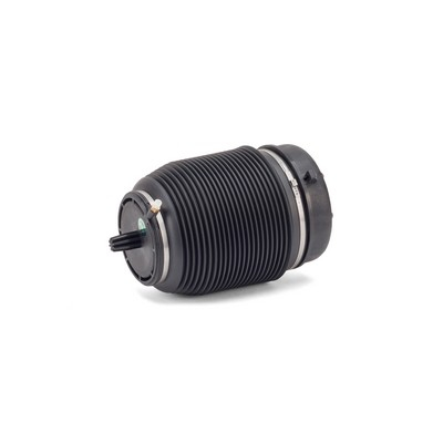 Perna aer suspensie Spate Dreapta/Stanga potrivit AUDI A6 ALLROAD C6, A6 C6 2.0-5.2 05.04-08.11 [3]
