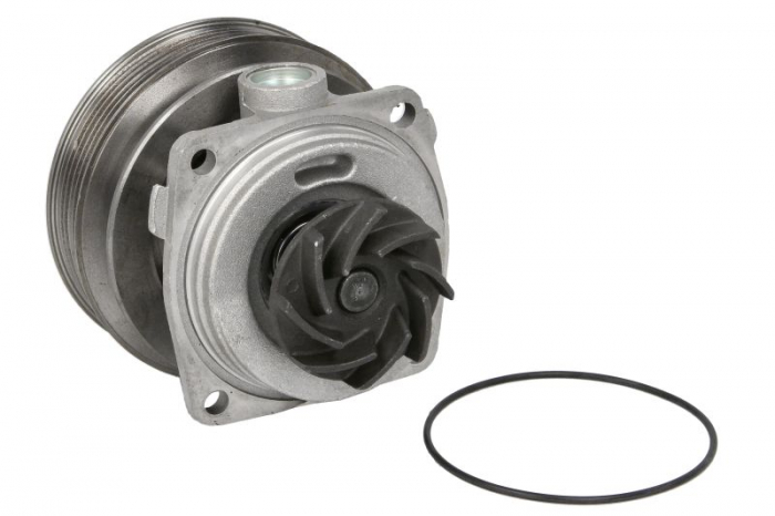 Pompa apa cu garnitura potrivit CITROEN JUMPY I; FIAT SCUDO; PEUGEOT EXPERT 1.6 10.95-12.06