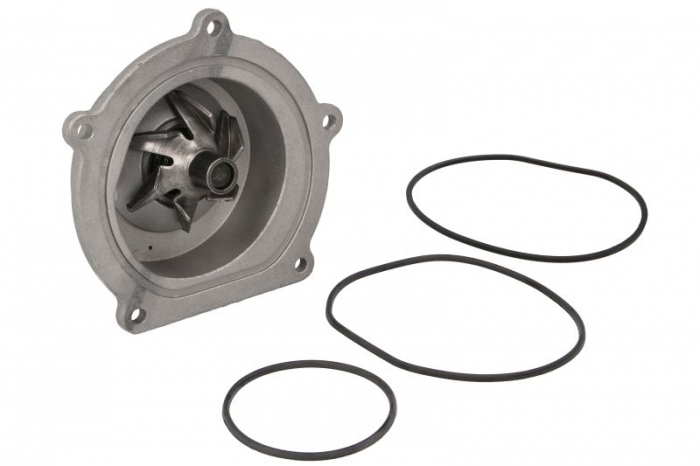 Pompa apa cu garnitura potrivit LAND ROVER DEFENDER, DISCOVERY II 2.5D 06.98-02.16