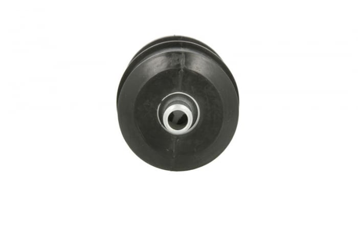 Pompa combustibil potrivit ALFA ROMEO 33, 75, 90, SPIDER; AUSTIN MONTEGO; BMW 3 (E30), 5 (E12), 5 (E28), 6 (E24), 7 (E23), Z1; CITROEN BX, CX I, CX II, VISA, XM; FIAT 132 1.0-5.3 01.60-02.15 [2]