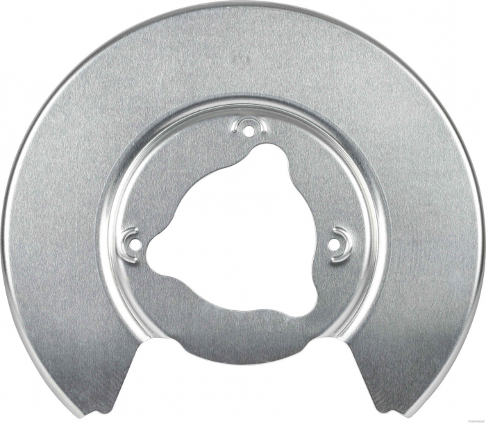 Protectie stropire disc frana spate stanga diametru 104,2/350mm potrivit TESLA MODEL 3, MODEL Y Electric 01.17- [2]