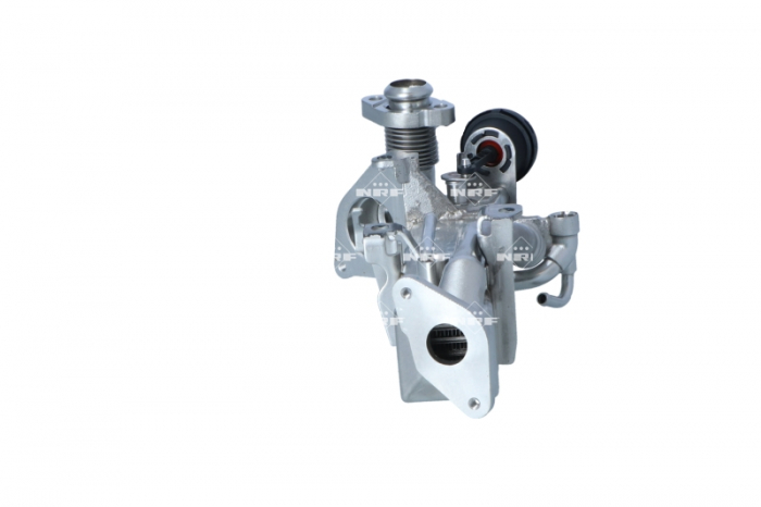 Radiator EGR potrivit BMW X1 (F48) 2.0D 07.15- [4]