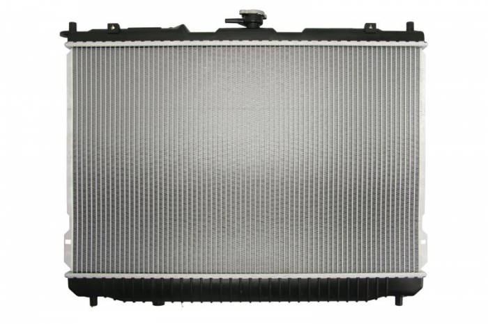 Radiator motor potrivit KIA CARENS II 2.0D (Manual) [2]