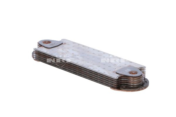 Radiator ulei (125x33x385mm, numar de nervuri: 6) potrivit RVI KERAX, PREMIUM; VOLVO B11, B9, FH12, FH16, FM12, NH12 D11A-370-MIDR06.23.56B/41 08.93- [3]