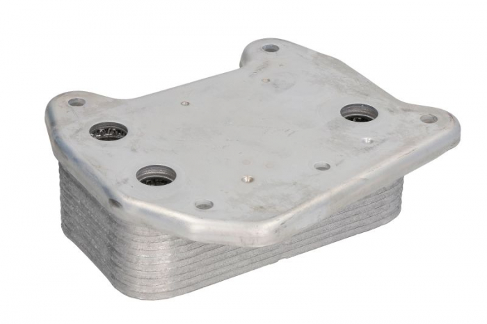 Radiator ulei potrivit MERCEDES C (CL203), C T-MODEL (S203), C (W203), CLK (C209), E T-MODEL (S211), E (W211), G (W461), G (W463), S (W220, V220) 2.7D/3.0D/3.2D 08.99-07.09 [2]