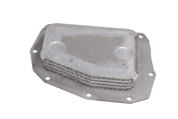 Radiator ulei termoflot potrivit MERCEDES C (W202), E (W210), G (W463), S (W140), SL (R129); SSANGYONG REXTON / REXTON II, RODIUS I 2.8/3.2/3.6 01.93- [2]