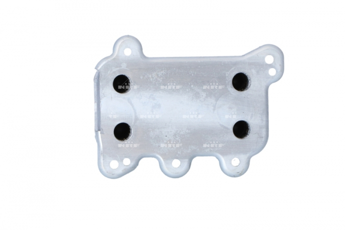 Radiator ulei termoflot potrivit MERCEDES E (W211), G (W463), M (W163), S (W220) 4.0D 06.00- [4]