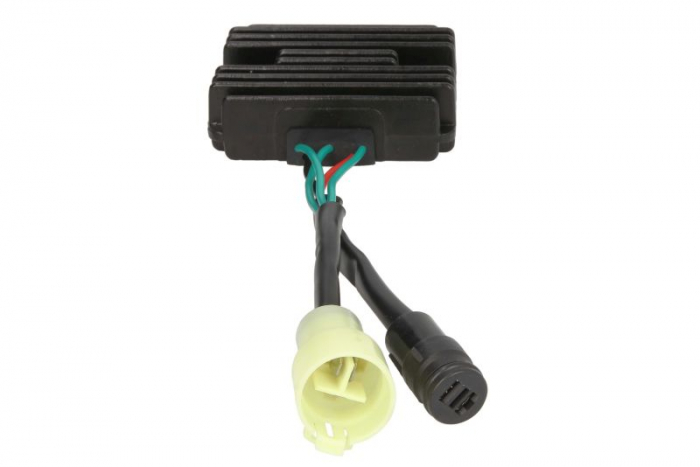 Regulator alternator F50; F60 [2]