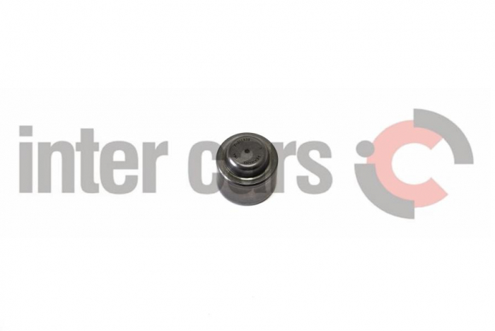 Rulment volanta potrivit MERCEDES 124 (C124), 124 T-MODEL (S124), 124 (W124), C (CL203), C T-MODEL (S202), C T-MODEL (S203), C (W202), C (W203), CLK (A208), CLK (A209) 1.8-3.7 05.86-