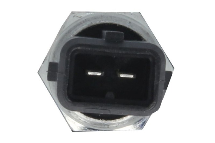 Senzor nivel ulei motor potrivit NISSAN X-TRAIL II M9R/M9R760/MR20DE 06.07-11.13 [2]