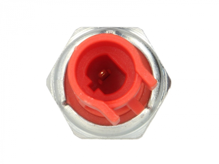 Senzor presiune ulei (0,6bar; 1 pin; rosu) CITROEN JUMPER; PEUGEOT BOXER 3.0D dupa 2006 [2]