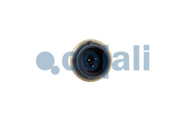 Senzor presiune ulei potrivit CATERPILLAR 631D, 990K, 992D, AE40 II, D7R, D8R [4]