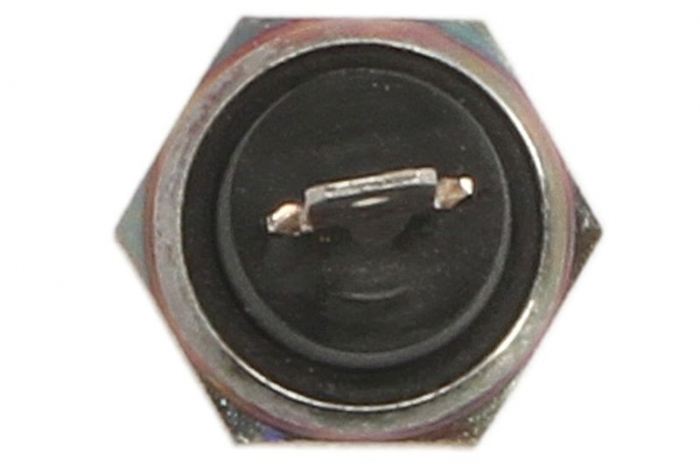 Senzor presiune ulei potrivit MASSEY FERGUSON 100, 1000, 20, 200, 2000, 30, 300, 3000, 40, 4000, 50, 500, 60, 600, 700 1004-4-T3.1524 [2]