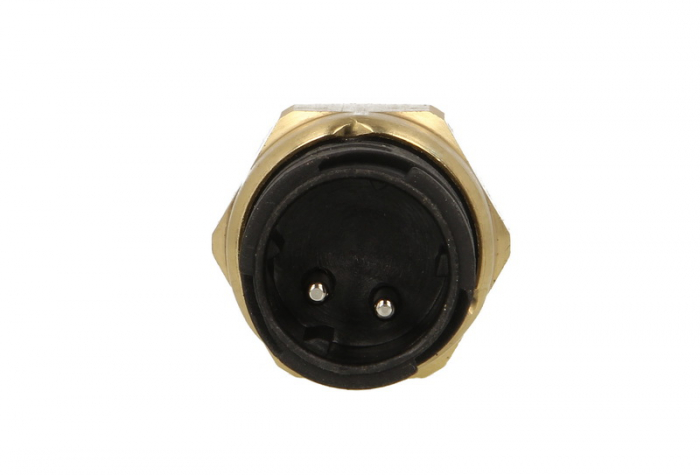 Senzor temperatura admisie potrivit MAN TGA, TGL I, TGM I, TGS I, TGX I D0834LFL40-D3876LF02 dupa 2000 [2]