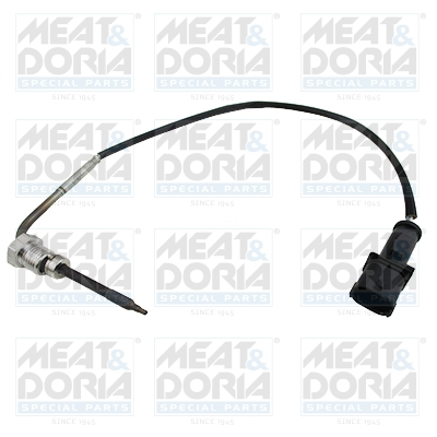 Senzor temperatura evacuare (dupa convertizor catalitic) potrivit FIAT DUCATO 2.0D 06.11-