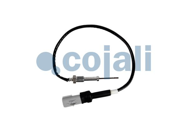 Senzor temperatura gaze evacuare potrivit CUMMINS [3]