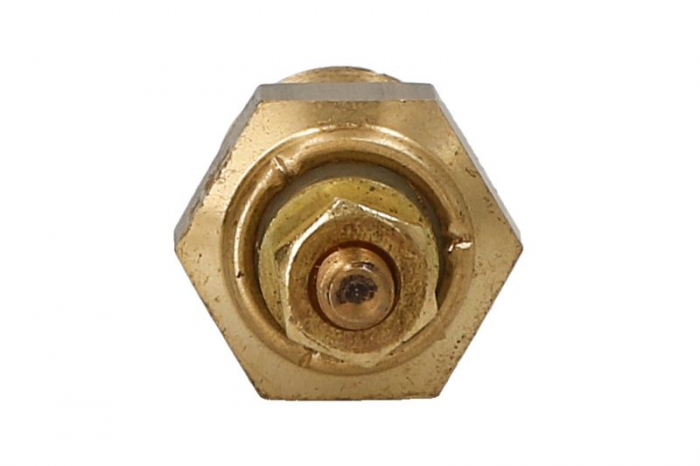 Senzor temperatura lichid racire MERCURY [2]