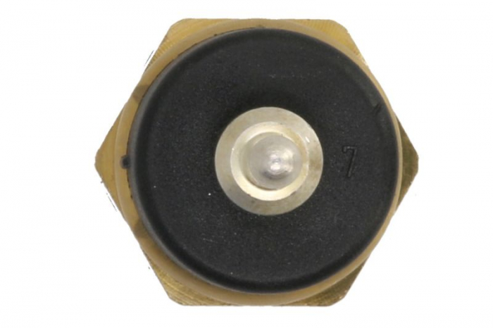 Senzor temperatura lichid racire (numar pini: 1, negru) potrivit MERCEDES 124 (C124), 124 T-MODEL (S124), 124 (W124), 190 (W201), E (A124), E (C124), E T-MODEL (S124) 1.8-6.0 04.84-03.00 [2]