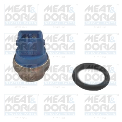 Senzor temperatura lichid racire (numar pini: 2, albastru) potrivit VW TRANSPORTER T4 2.4D-2.8 09.90-06.03